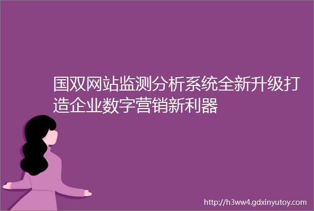 国双网站监测分析系统全新升级打造企业数字营销新利器